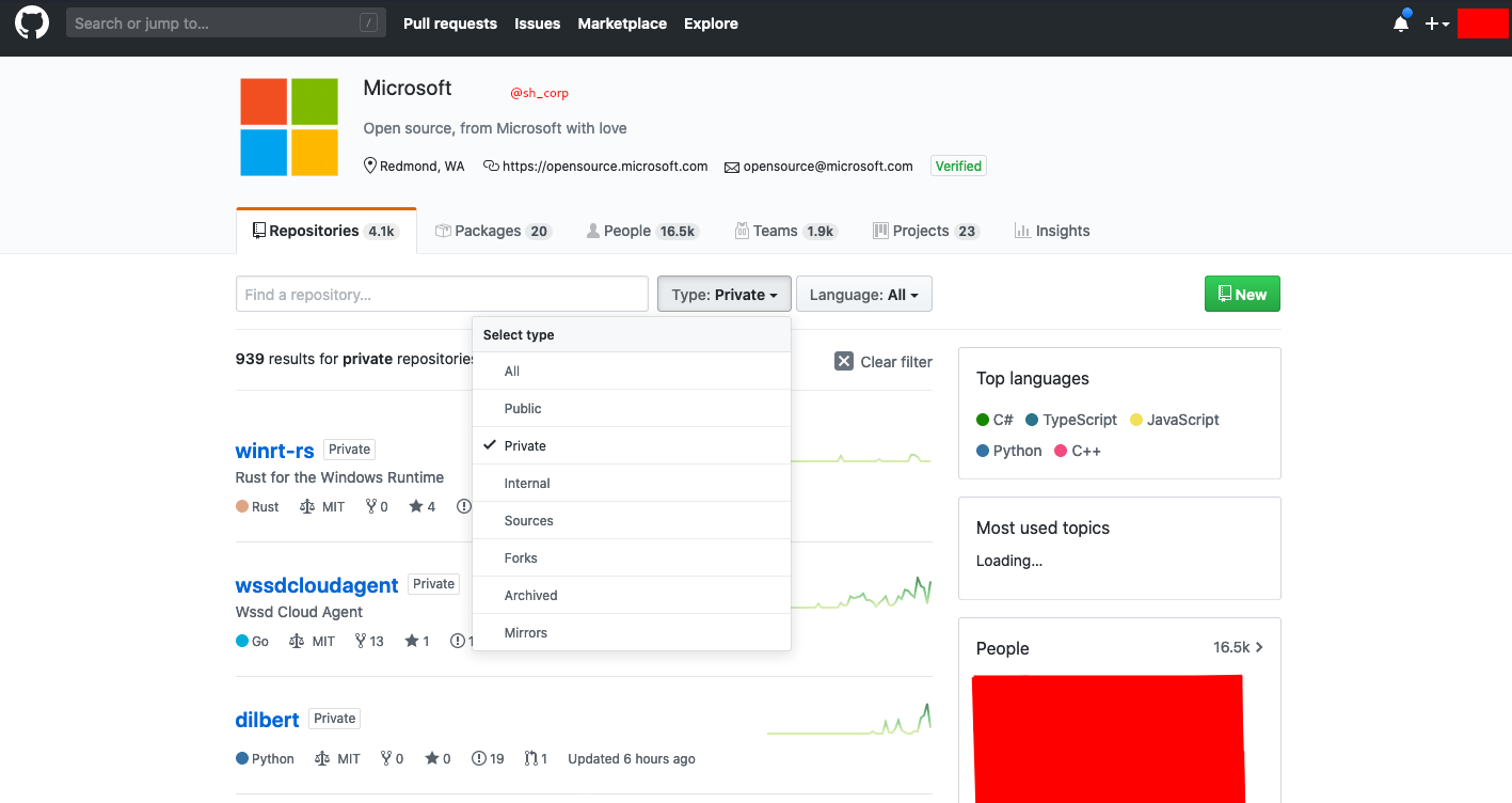 Microosft github proof of access