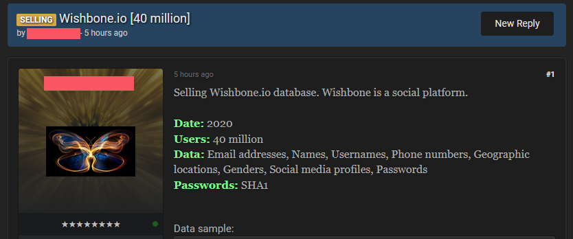 Wishbone Hacked: 40 Million User Data Leak on Dark Web
